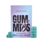 Euphoria Cannabis – Lego Blocks – 1000mg - Image 4