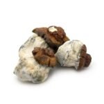 Bluey Vuitton - Image 2