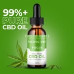 Pacific CBD Tincture – Premium Blend – Focus