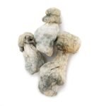 Albino Penis Envy - Image 2