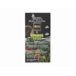 Burn Dual Puffer – 3G + 3G THC Disposable Vape - Image 4