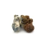 Cambodian Cubensis - Image 4