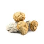 Dino Eggs - Image 2
