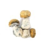 Dino Eggs - Image 4