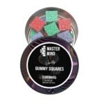 Mastermind – Variety Gummy Square – 3000mg - Image 2